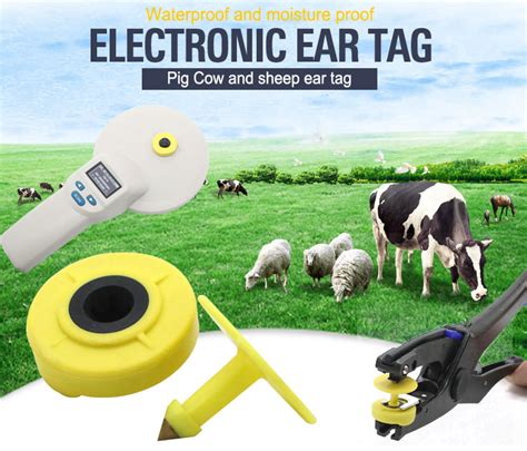 rfid cattle tracking system|rfid tags for livestock.